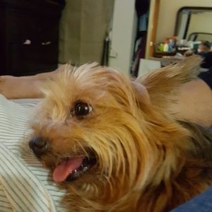 Meet your Posher, Saritza