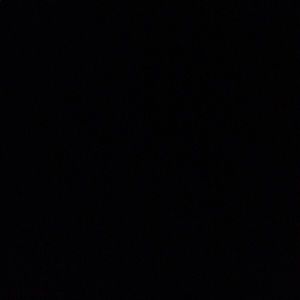 Meet your Posher, Daisy