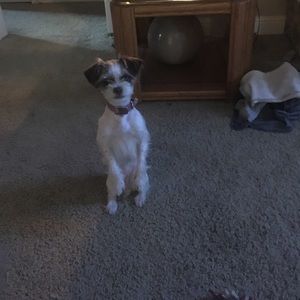 Meet your Posher, Dana