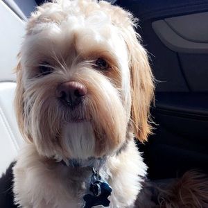 Meet your Posher, Erika