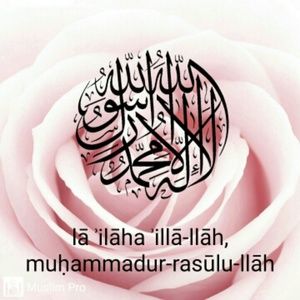 Meet your Posher, Trinity