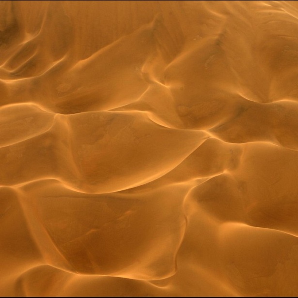 Earth Tones