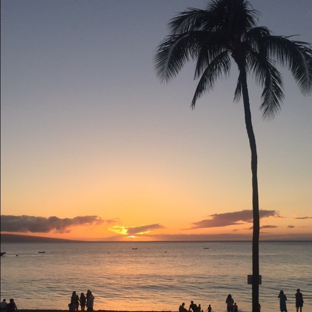 Meet your Posher, Lindsey