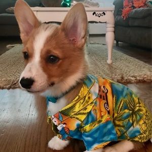 Meet your Posher, Giana