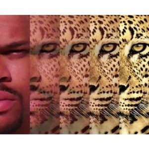 Meet your Posher, Travon