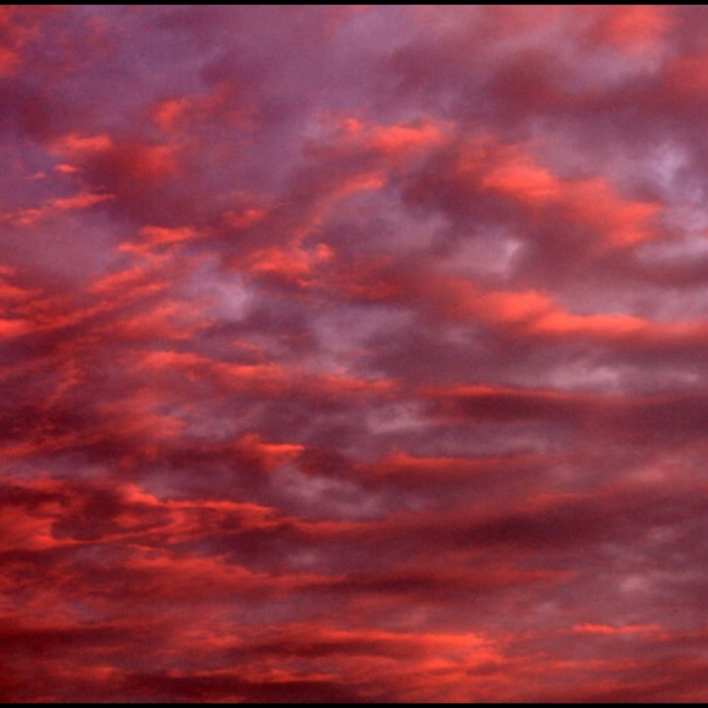 Rosado