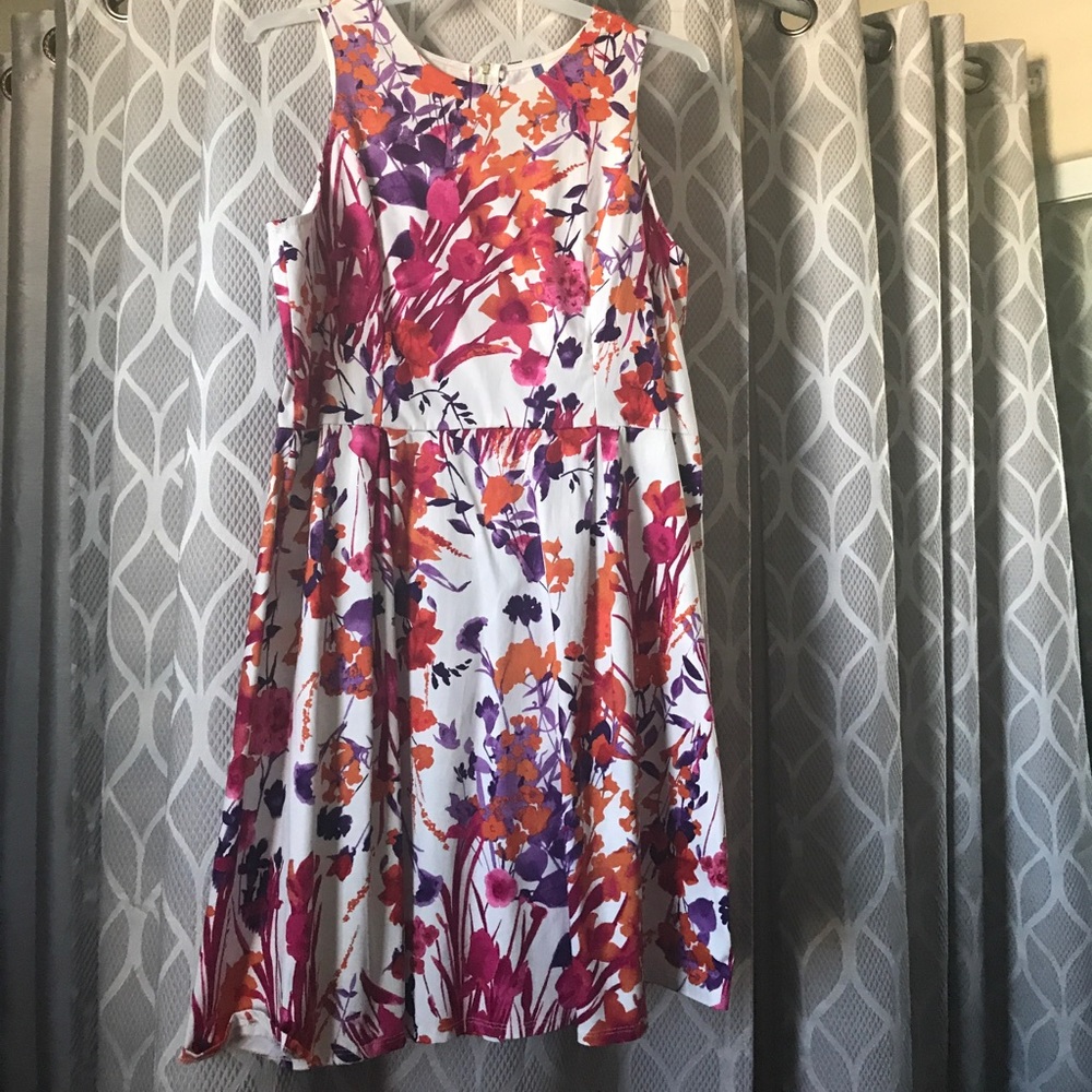 Bluebell dress new no tag