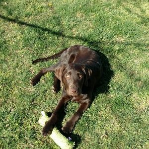 Meet your Posher, Beverley