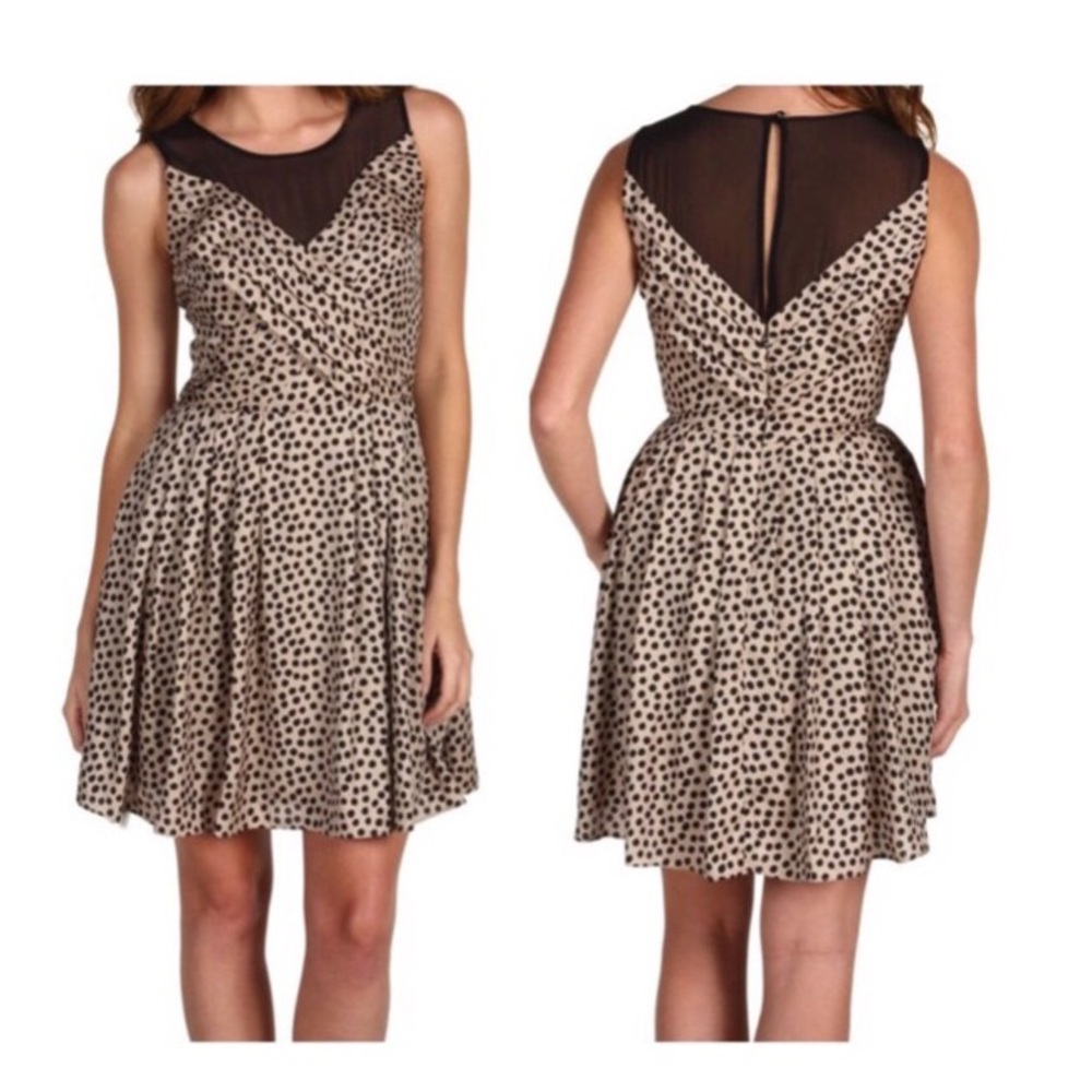 BCBGeneration polka dot dress size 2 Black and Tan