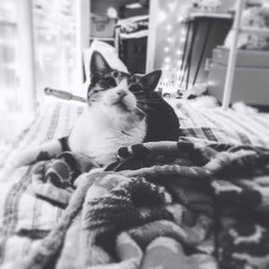 Meet your Posher, Chloe