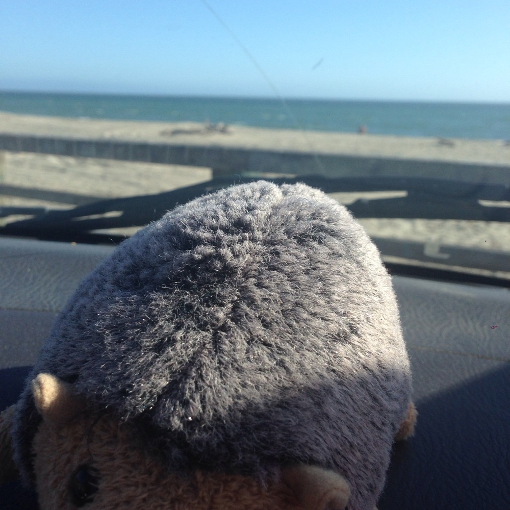 Meet your Posher, Reeta