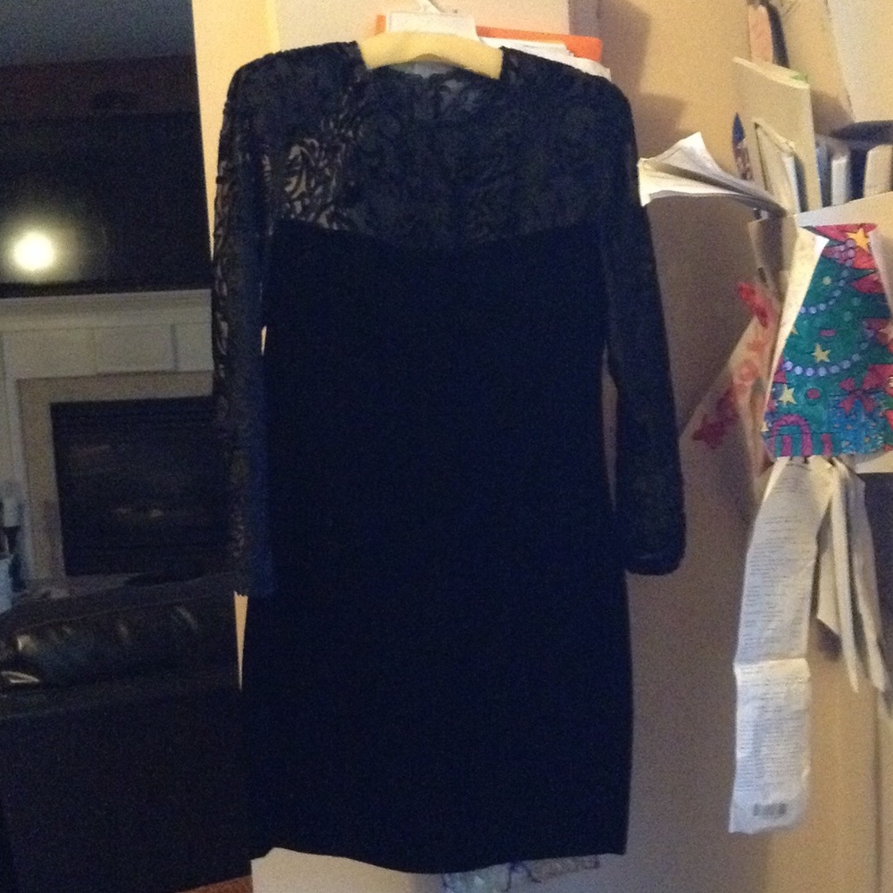 Wild rose velvet dress
