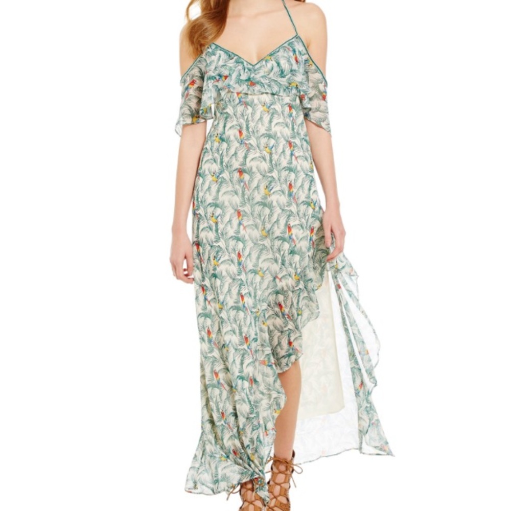 🌺HPx2🌺Chelsea & Violet bird print dress last one - Picture 1 of 8