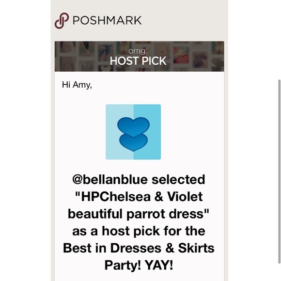 🌺HPx2🌺Chelsea & Violet bird print dress last one - Picture 7 of 8