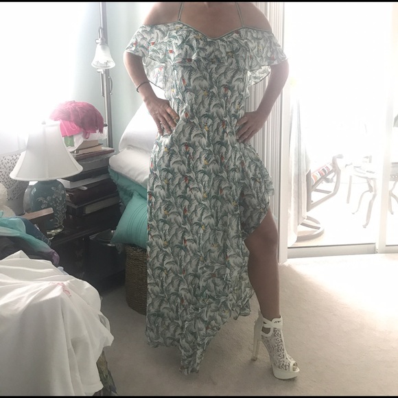 🌺HPx2🌺Chelsea & Violet bird print dress last one - Picture 2 of 8