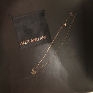 Alex and ani adjustable necklace