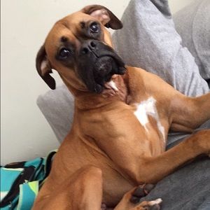 Meet your Posher, Brittany