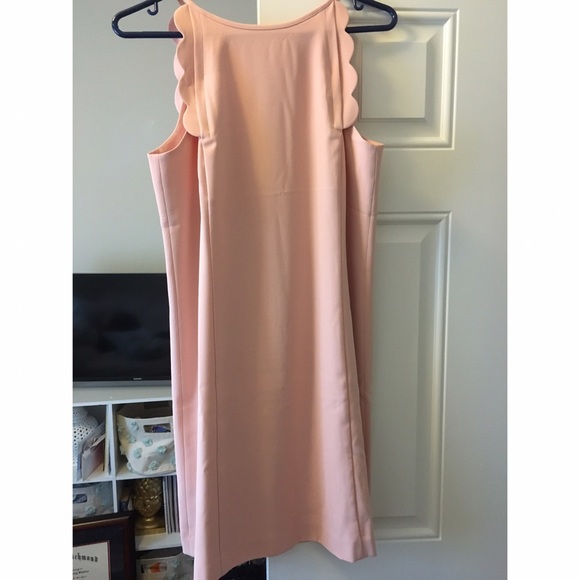 Ann Taylor Scalloped shift dress 10 - Picture 2 of 4