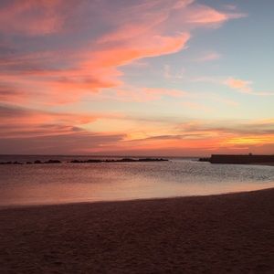 Meet your Posher, Asha