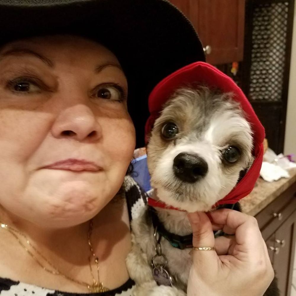 Meet your Posher, Marilyn