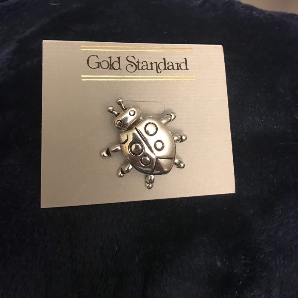 Silver Lady Bug Pin