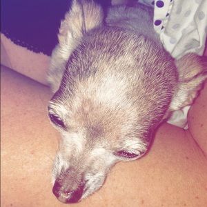 Meet your Posher, Serenity