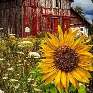 Meet your Posher, Vicki