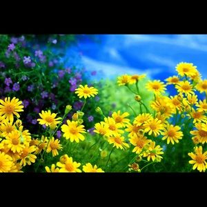 Meet your Posher, Joline