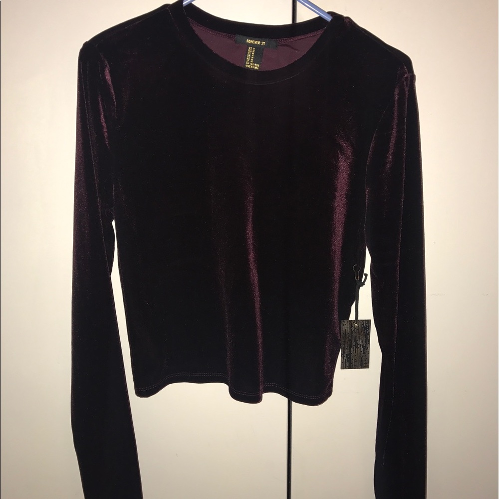 Long sleeve velvet top (medium)