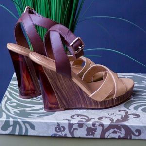 Wood and see through 4 1/2" wedge Heel