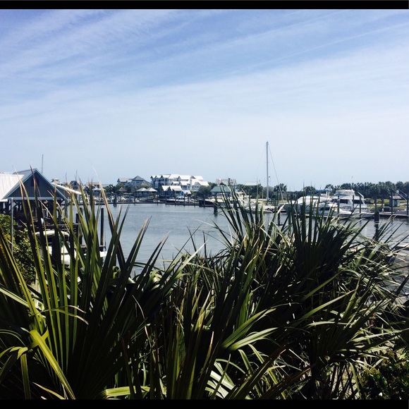 Meet your Posher, Sydney - Picture 1 of 1