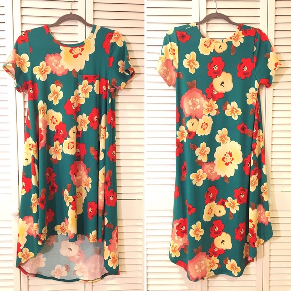 LuLaRoe Dresses & Skirts - *LIKE NEW* Floral LuLaRoe Carly