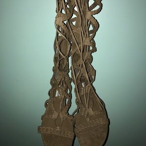 Steve Madden knee high gladiator sandals