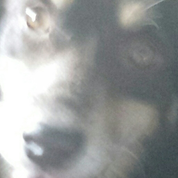 Meet your Posher, Kyle - Picture 1 of 1