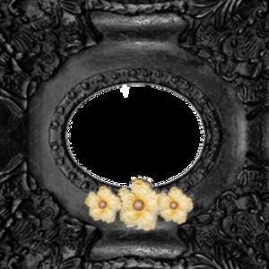 Meet your Posher, Sasha