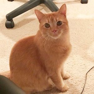 Meet your Posher, Yao