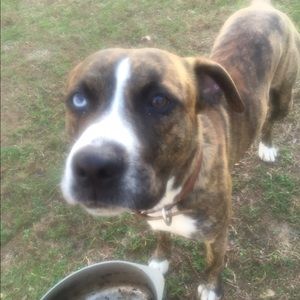 Meet your Posher, Karen