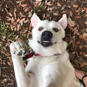 Meet your Posher, Diane