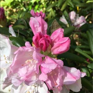 Meet your Posher, Mai