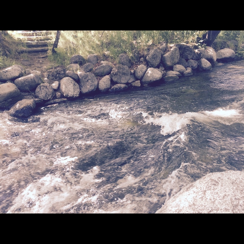 Meet your Posher, Susy