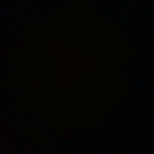 Meet your Posher, Rory