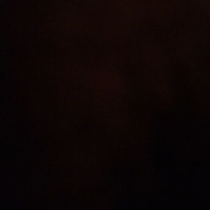 Meet your Posher, Ralph