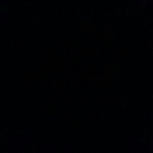 Meet your Posher, Tenicka