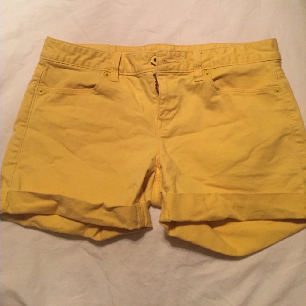 LOFT Shorts