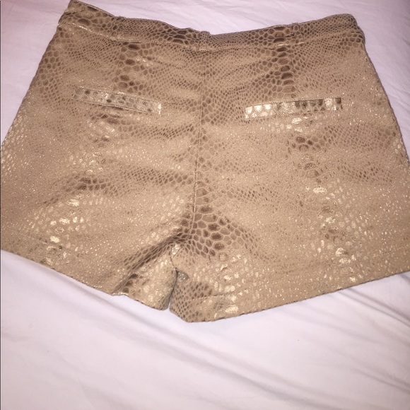 Gold Python shorts - Picture 3 of 3