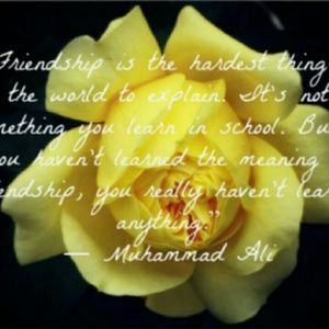 Meet your Posher, Selena