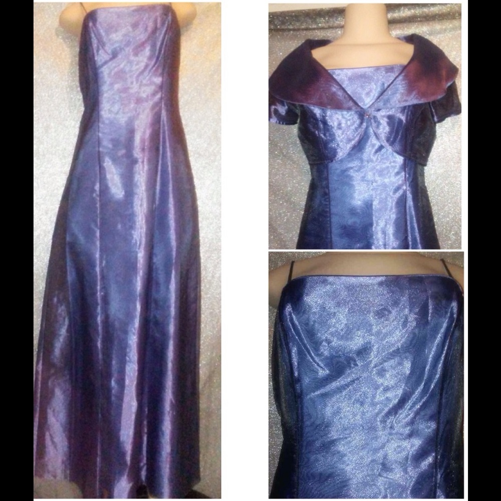 NEW ...Alex Evening Gown