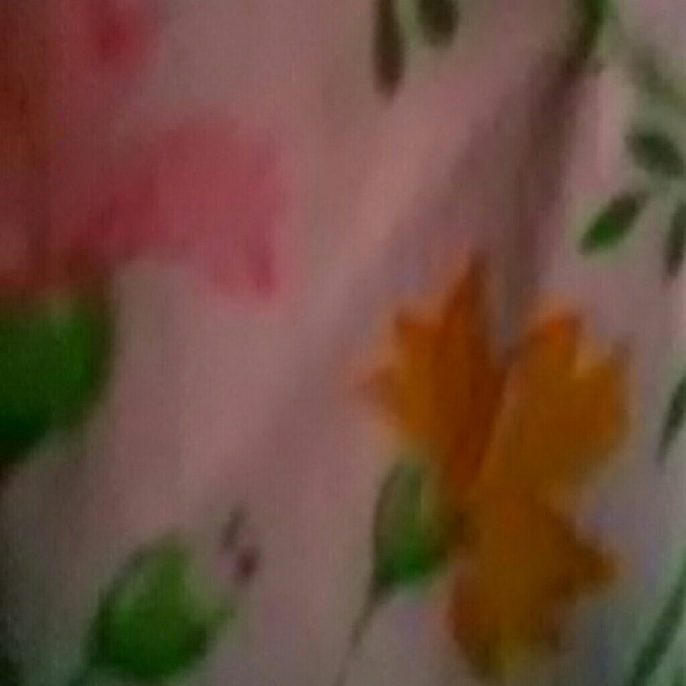 Meet your Posher, Robin