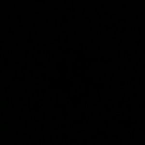 Meet your Posher, Leexy