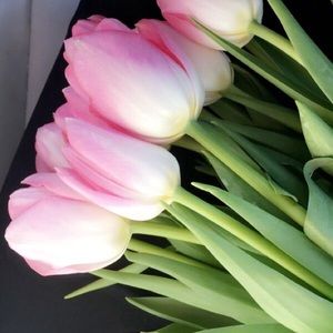 Meet your Posher, Liliya